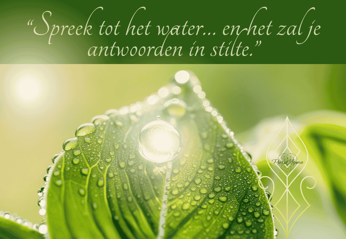 Waterdruppel op groen blad met energetisch lichtsymbool – symbool van trilling, bewustzijn en heling.