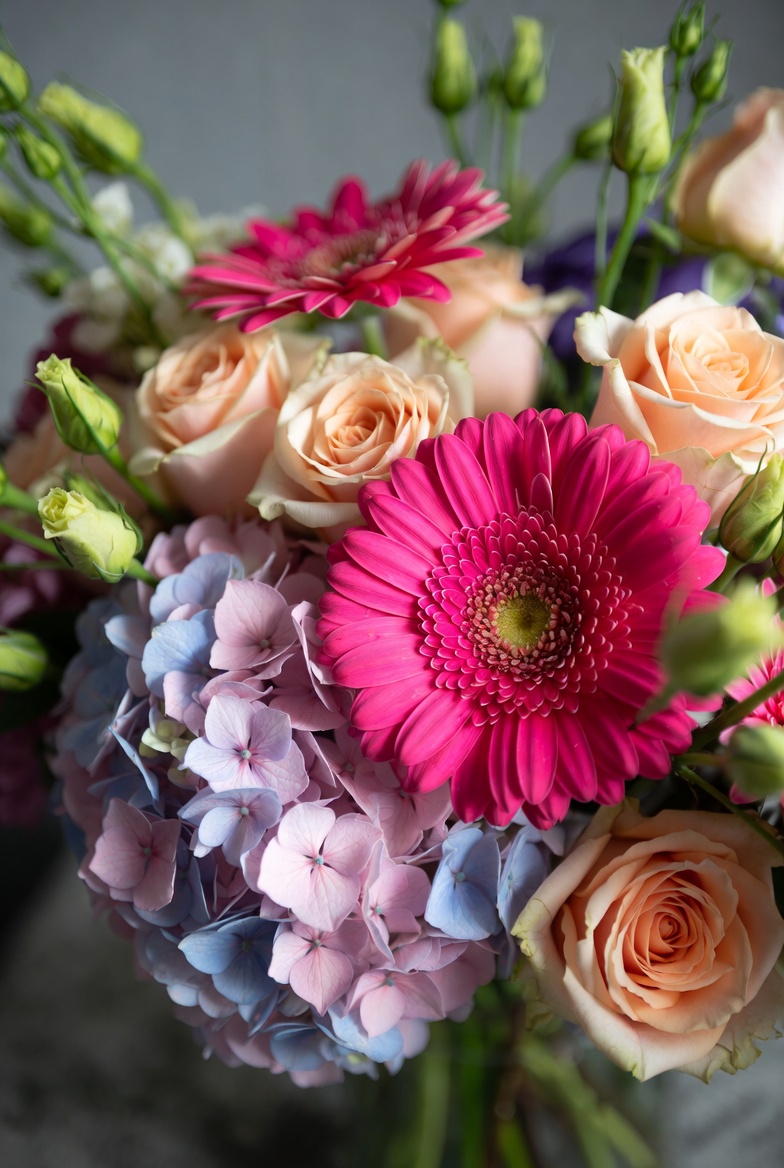 Bloemboeket met hortensia, grote gerbera’s en rozen in diep rood, zacht perzik en crème, rustig en los geschikt met Scandinavische balans Bloemboeket met hortensia, grote gerbera’s en rozen in diep rood, zacht perzik en crème, rustig en los geschikt met Scandinavische balans