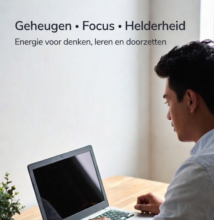 Geheugen Focus Helderheid Energie voor denken leren en doorzetten
