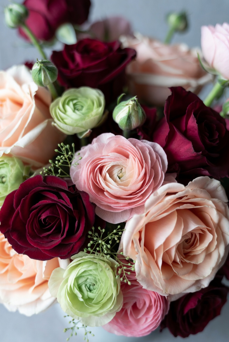 roos ranonkel rose rood 2 roos ranonkel rose rood 2