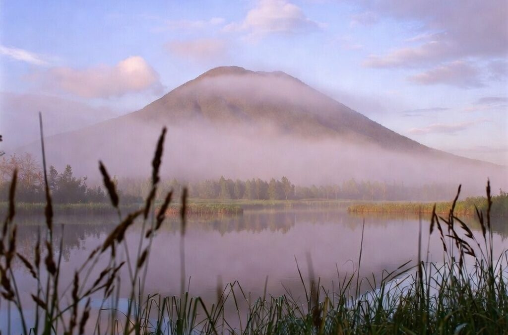 Functional Freeze: 7 Signalen + Wat Je Kunt Doen | PureAgma